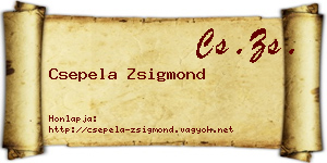 Csepela Zsigmond névjegykártya